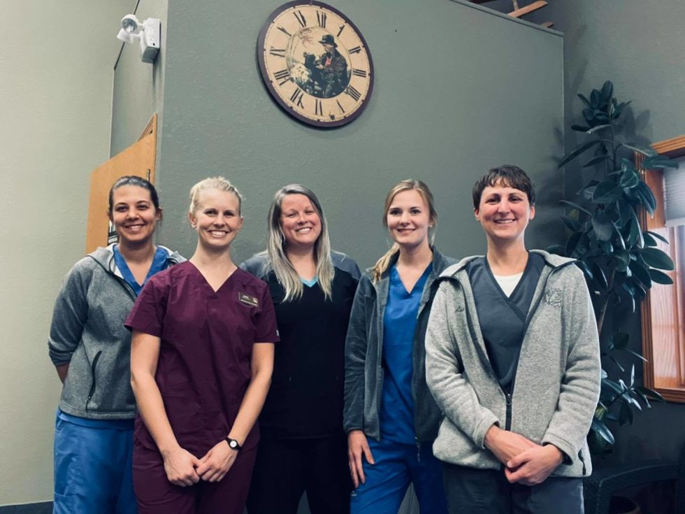 Plover, WI 54467 Veterinary Jobs Woodhaven Animal Health