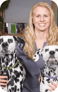 jamie-vet-tech (1)
