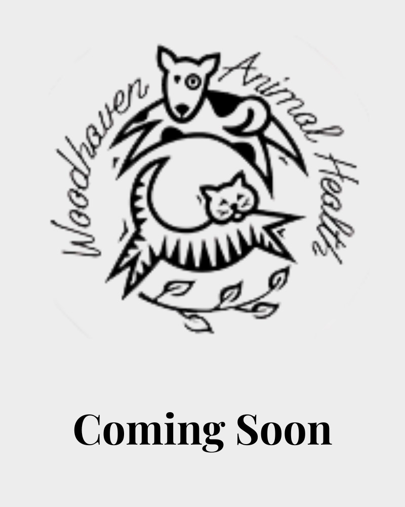 Coming soon coming soon placeholder